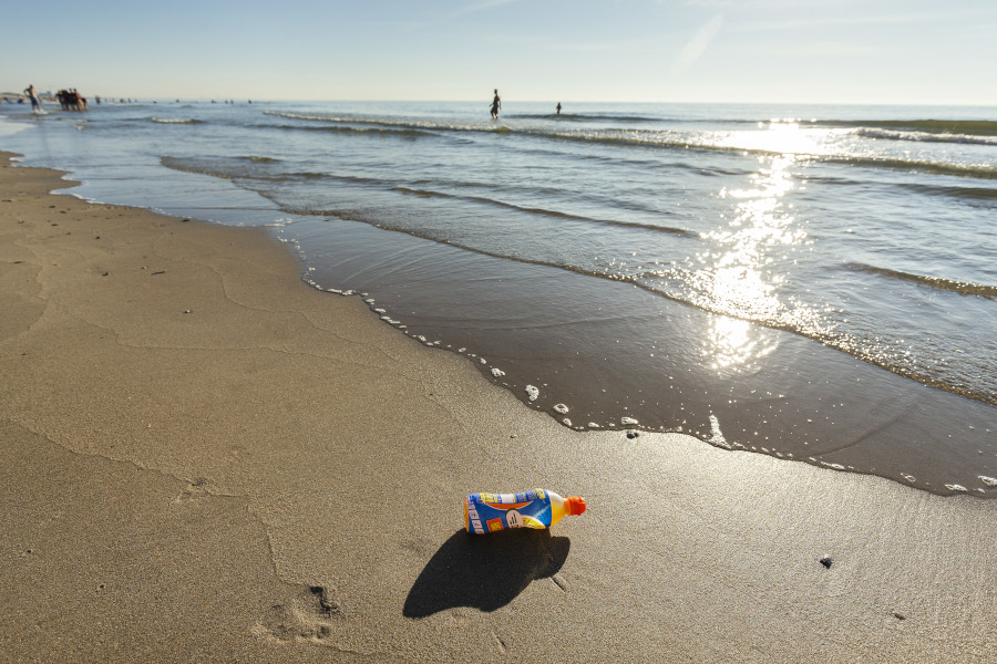 Descripción de la imagen